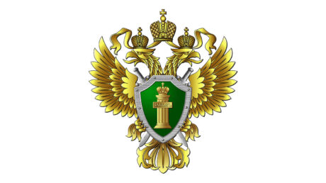 Как сохранить жизни на дорогах